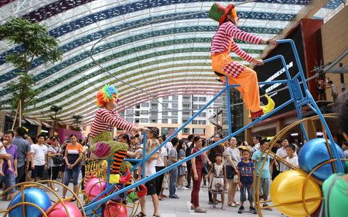 缤纷世界,探索多彩生活的奇妙旅程  第3张