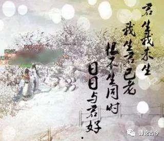 君恨我生迟（司令府就是我的家）,君恨我生迟，家国情怀永流传  第1张