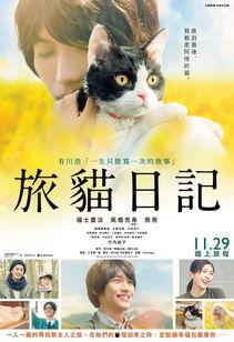 旅猫日记,跟随猫咪的脚步,探寻世界之美 第3张 旅猫日记,跟随猫咪的脚步,探寻世界之美 第3张